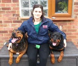 enfield dog trainer training with her dogs