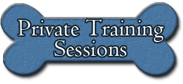 private training sessions