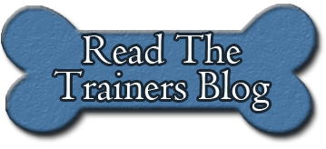 read the trainers blog