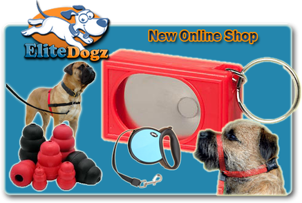 online dog training equipment shop elite dogz