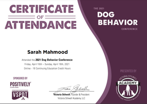 Dog Behaviour Conference 2021